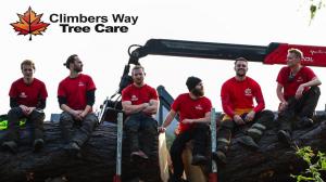 Climbers Way Tree Care Tree Surgeons